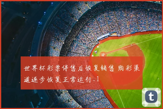 世界杯彩票停售后恢复销售 购彩渠道逐步恢复正常运行_1