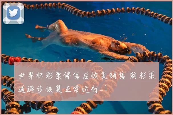 世界杯彩票停售后恢复销售 购彩渠道逐步恢复正常运行_1