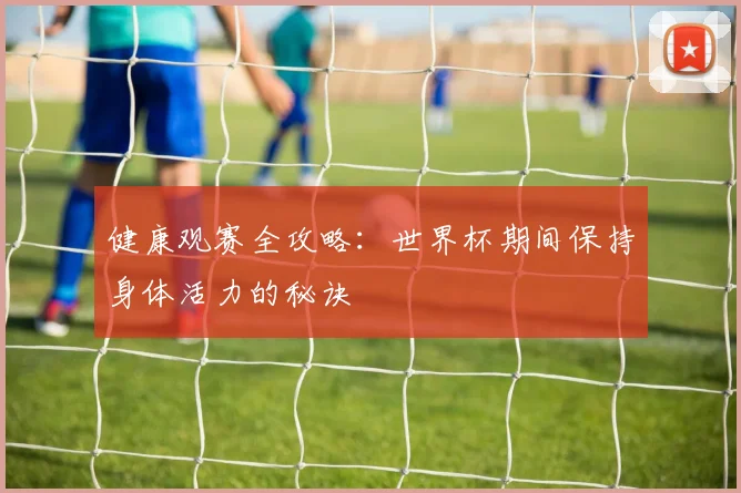 健康观赛全攻略：世界杯期间保持身体活力的秘诀
